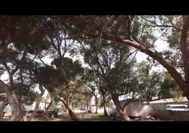 فندق سيدونافي  A1Cabins المظهر الخارجي الصورة